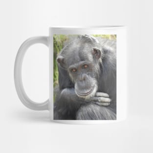 Chimpanzee Mug